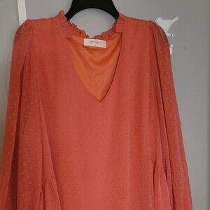 Plus Juniors long sleeve dress